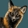 incofox