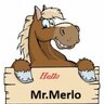 Mr.Merlo