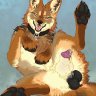 feralcoyote