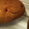 Nervous Potato