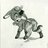 donkeyluv