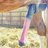 HorseCockLover81