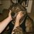 GoodBoi7254